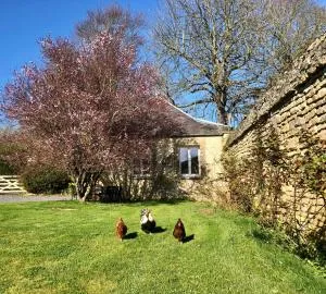 Les Gîtes de la Mare - Rots