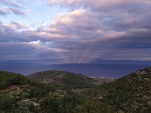 Eden View