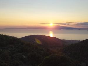 Eden View