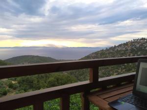 Eden View