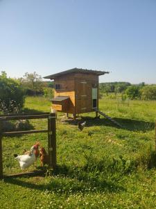 Maisons de vacances Gite Le Pressoir : photos des chambres