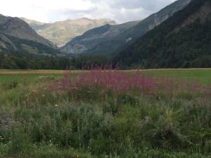 Appart très ensoleillé 5-6 pers au pied des pistes