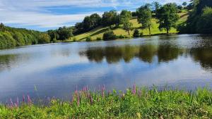 Maisons de vacances Gite Les Hauts de Villemaloux : photos des chambres