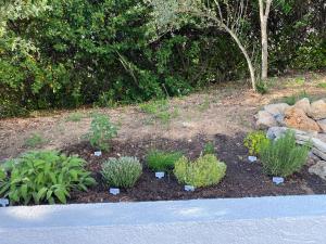 Maisons d'hotes Le domaine des Petits Princes : Suite Junior Familiale