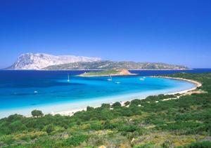 Punta Est - Trilo Corbezzolo Vista Incantevole img38