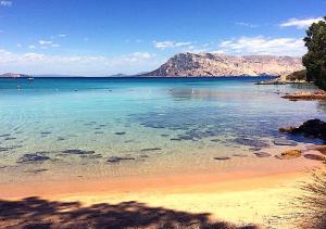 Punta Est - Trilo Corbezzolo Vista Incantevole img40