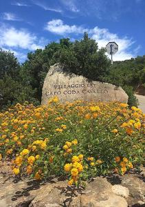 Punta Est - Trilo Elicrisio Terrazza Vista Mare img33
