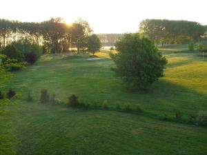 Birdland Panorama Apartman