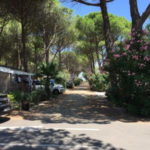 Maisons de vacances Mobile Home OuiReves 113 facing the Mediterranean : photos des chambres