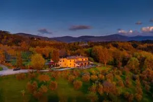 Tenuta Risalpiano - Pomino