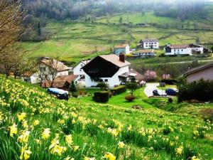 Maisons de vacances Gite La Bresse, 3 pieces, 4 personnes - FR-1-589-97 : photos des chambres