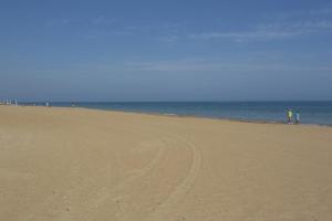 Don Pedro by Aguilarent