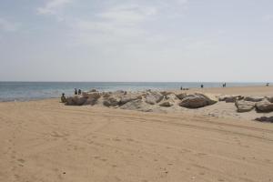 Don Pedro by Aguilarent