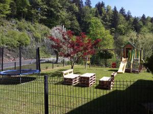 Apartmaji Tisa in Žana 