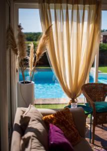 B&B / Chambres d'hotes Chambre Vigne, piscine spa fitness : photos des chambres