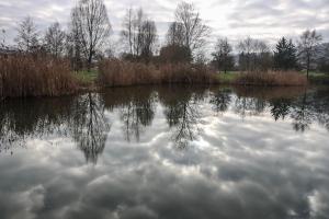 Sejours a la campagne le domaine des droles de dames : photos des chambres