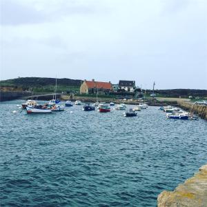 Maisons de vacances Holiday Normandy se ressourcer a deux pas de la Mer : photos des chambres