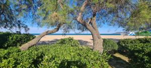 Hotels Hotel Le Maritime : photos des chambres