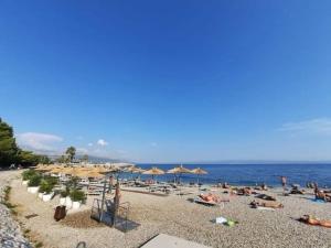 Apartment Sole Macula