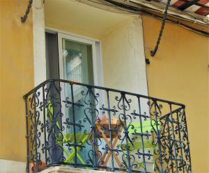 Appartement cosy à 2mn de la plage au centre ville