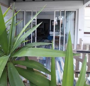 T2bis Les YUCCAS 200 m plage du Boucanet Rive Droite Grau du Roi idéal 2-4 pers 3 étoiles