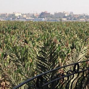 Villa Tutmouss Luxor