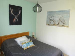 Appartements EDELWEISS 12 : photos des chambres