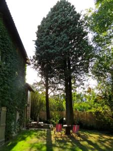 Maisons d'hotes L'Annexe - Maison d'hotes : photos des chambres