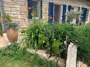 Maisons de vacances gite La Longere bleue : photos des chambres