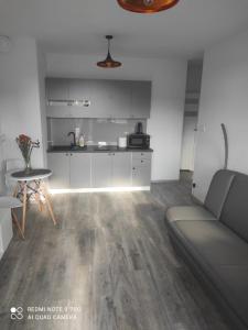 Apartament z Jacuzzi i Sauna