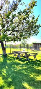 5 Chirpici - Small Traditional Resort