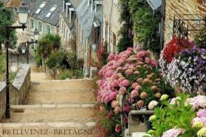 Maisons de vacances Maison du martin pecheur a Lannion : photos des chambres