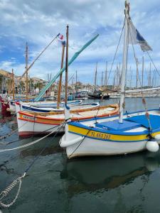 Appartements appartement rez de villa proche port et plages de Sanary : photos des chambres