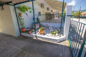 Lola Rooms & Apartment