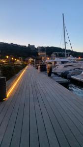 Superbe appartement sur le port, jacuzzi, piscine