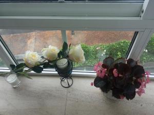 Apartamento TEO