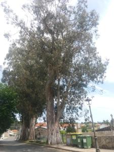 Apartamento TEO