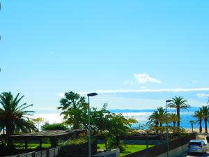 GMID IMMO A226 Moli de Vent 1