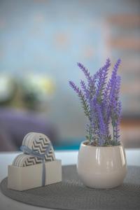 Roosi apartment Haapsalu