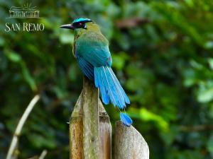 San Remo Ecolodge