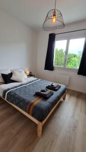 Appartements Angouleme SWEETS HOMES - Parking facile et gratuit : photos des chambres