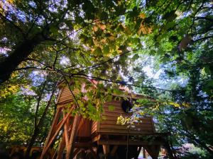 Lodges LeJardinZenduQuistillic : photos des chambres