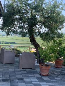 Locazione turistica Casa olivo