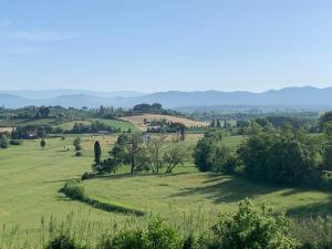 Locazione turistica Casa olivo