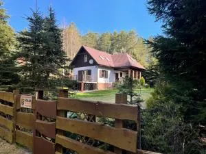 WILIMY Dom nad jeziorem Dadaj - Wilimy