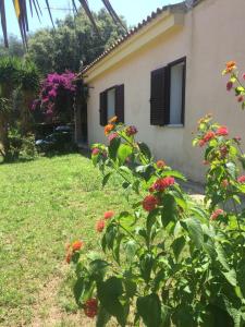Casa Felice img3
