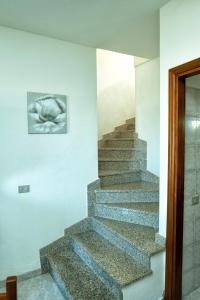 Molarotto Ichnos House img38