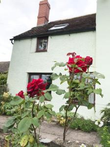 Cosy cottage in rural Culmington, Ludlow