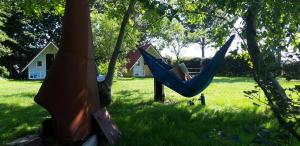 Pipowagen op natuurcamping