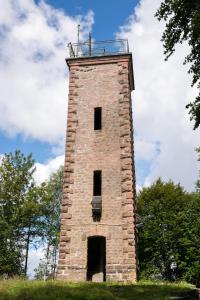 Villas Gite de Luxe Hautes Vosges Chez Livia : photos des chambres